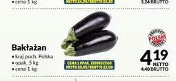 Makro Bakłażan oferta