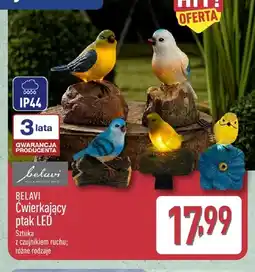 ALDI Ćwierkający ptak LED Belavi oferta