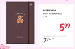 Rossmann Planer B5 Interdruk oferta