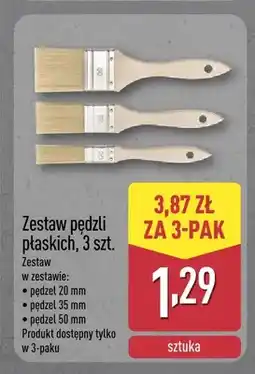 ALDI Zestaw pędzli płaskich oferta