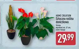 ALDI Sztuczna roślina doniczkowa Home Creation oferta