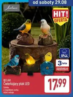 ALDI Ćwierkający ptak LED Belavi oferta
