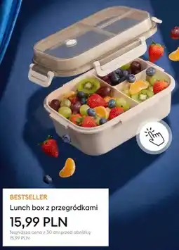Sinsay Lunch box z przegródkami Sinsay oferta