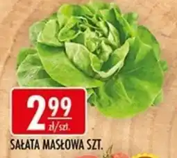 Sklepy Doroty Sałata Masłowa oferta