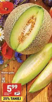 Delikatesy Centrum Melon galia oferta