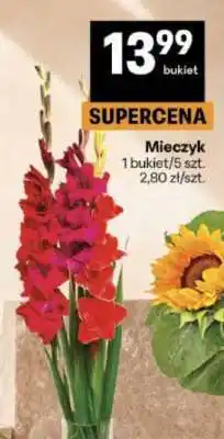 Delikatesy Centrum Mieczyk oferta