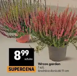 Delikatesy Centrum Wrzos garden oferta