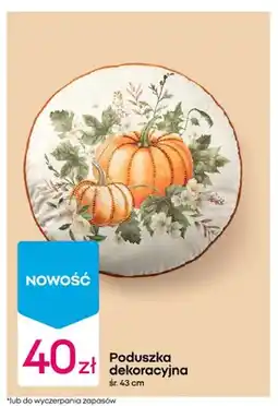 Pepco Poduszka dekoracyjna oferta