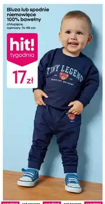 Pepco Spodnie niemowlęce 100% bawełny chłopięce oferta