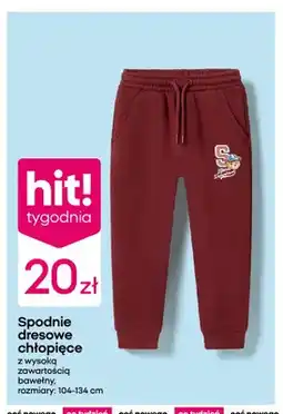 Pepco Spodnie dresowe chłopięce oferta