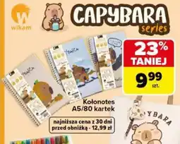 Carrefour Kołonotes CAPYBARA series oferta