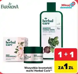 Carrefour Szampon Czarna Rzepa Herbal Care oferta