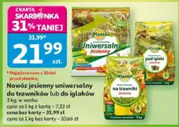 Auchan Nawóz jesienny uniwersalny do trawników lub do iglaków oferta