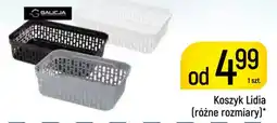 Delikatesy Piotruś Pan Koszyk Lidia oferta