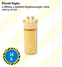 Tedi Piórnik Stylex oferta