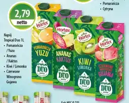 DUO-TES Napój Tropical Duo oferta