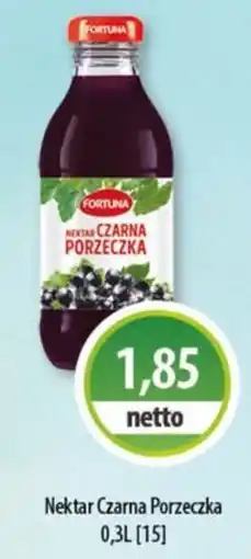 DUO-TES Nektar Czarna Porzeczka oferta