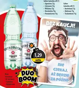 DUO-TES Woda Ostromecko oferta