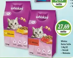 DUO-TES Whiskas Karma Sucha oferta