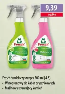 DUO-TES Frosch środek czyszczący oferta