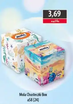 DUO-TES Mola Chusteczki Box oferta