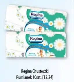 DUO-TES Regina Chusteczki Rumianek oferta