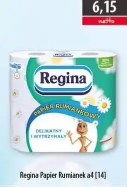 DUO-TES Regina Papier Rumiianek a4 oferta