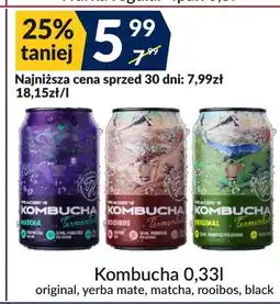 Sużyw Kombucha oferta