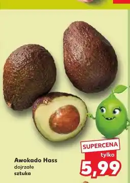 Kaufland Awokado Hass dojrzałe oferta
