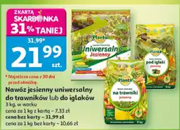 Auchan Nawóz Planta oferta