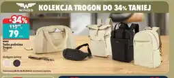 Biedronka Torba podróżna Wings oferta