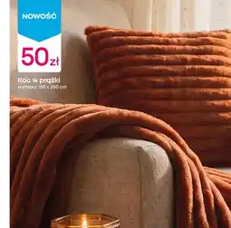 Pepco Koc w prążki oferta