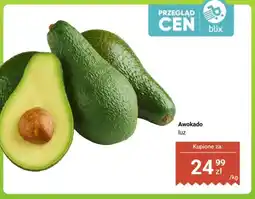 Dino Awokado luz oferta