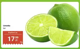 Dino Limonka luz oferta