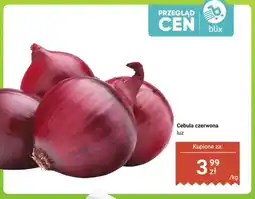 Dino Cebula czerwona luz oferta