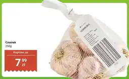Dino Czosnek oferta