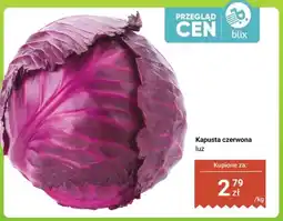 Dino Kapusta czerwona luz oferta