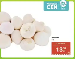 Dino Pieczarka luz oferta