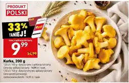 Twój Market Kurka oferta