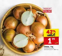 Twój Market Cebula oferta