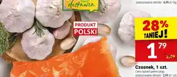 Twój Market Czosnek oferta