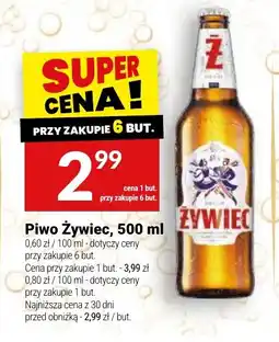 Twój Market Piwo Żywiec oferta