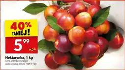 Twój Market Nektarynka oferta