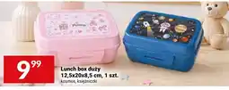 Twój Market Lunch box duży oferta