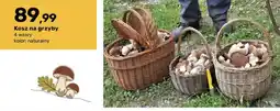 Bricomarche Kosz na grzyby oferta