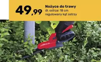 Nożyce do trawy