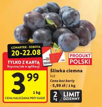 Śliwka ciemna luz