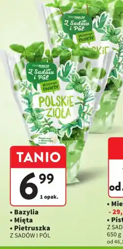Intermarche Polskie Zioła Z Sadów i Pól oferta