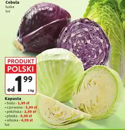 Intermarche Cebula łuska luz oferta