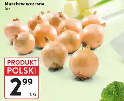 Intermarche Marchew wczesna luz oferta